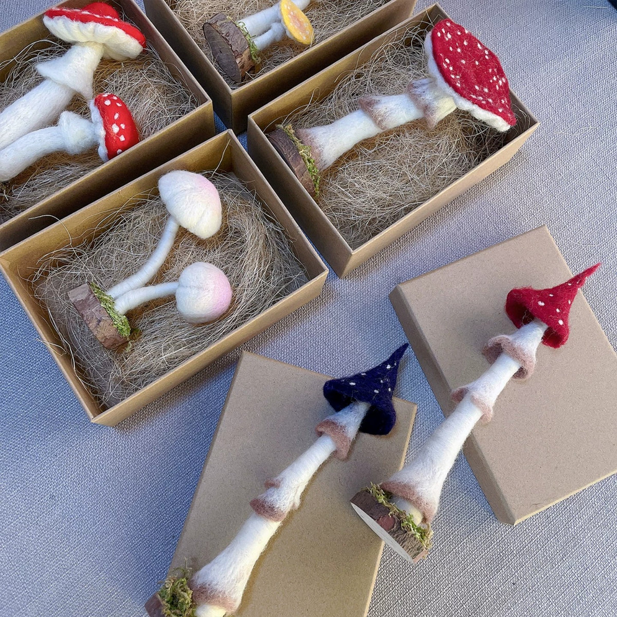 Woodland Mushroom Needle Felting Kit