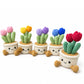Handmade Crochet Sitting Cactus Pot