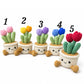 Handmade Crochet Sitting Cactus Pot