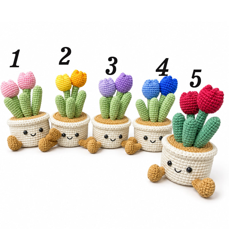 Handmade Crochet Sitting Cactus Pot