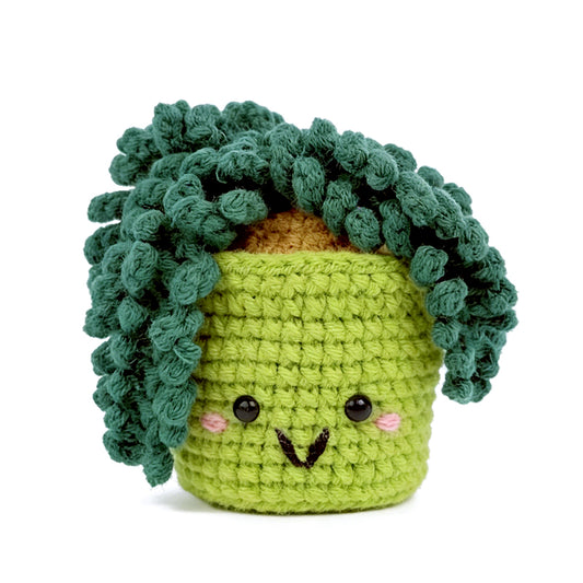 Crochet Succulent Plant Plush, Handmade Amigurumi Potted Plant Decor Gift
