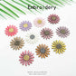 Daisy Embroidery Patch