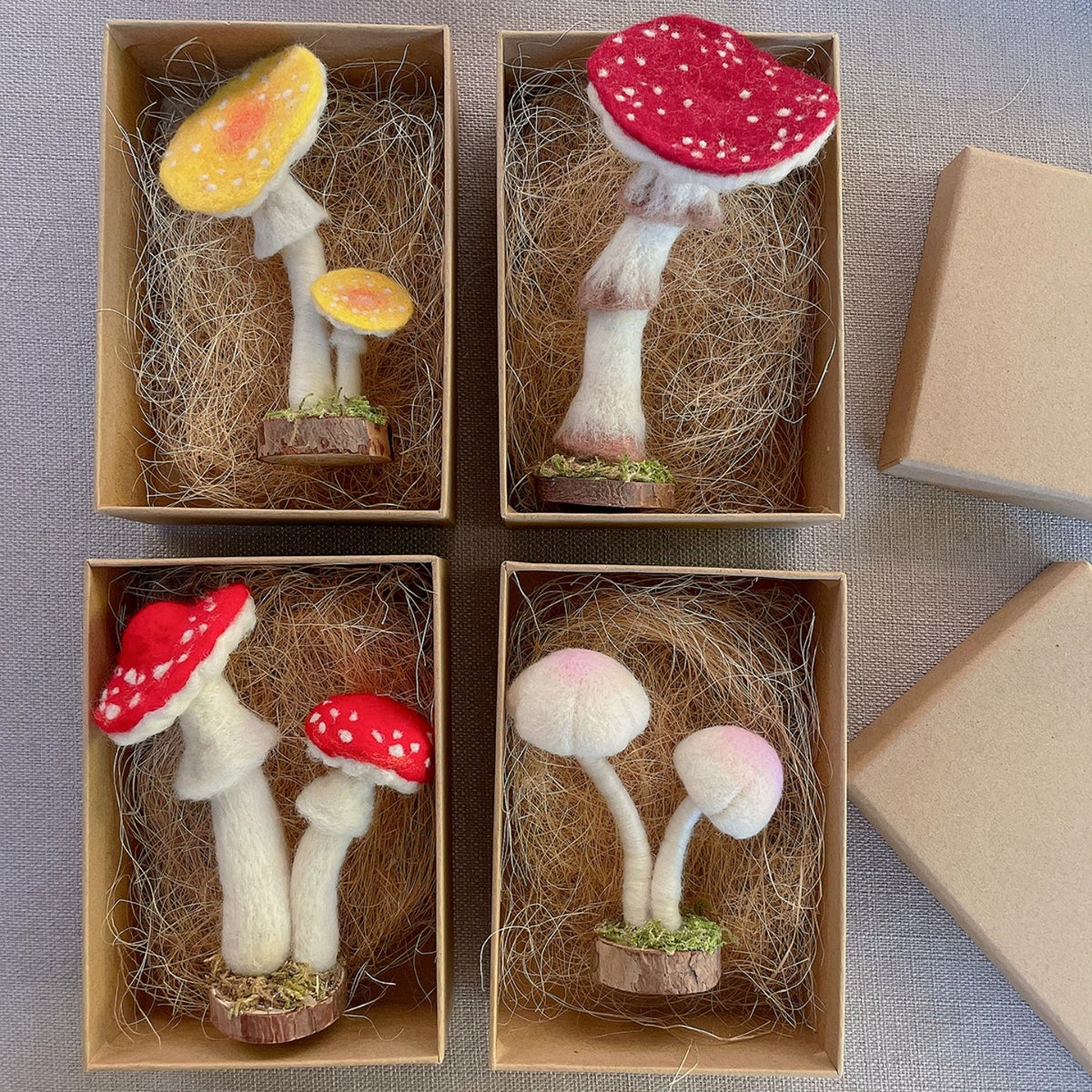 Woodland Mushroom Needle Felting Kit