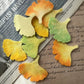 Colorful Hand-Cut Ginkgo Leaf Felt Pieces
