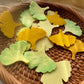 Colorful Hand-Cut Ginkgo Leaf Felt Pieces