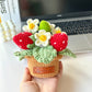 DIY Strawberry Potted Plant and Sunflower Flower Material Kit (Crochet Yarn Ornament)