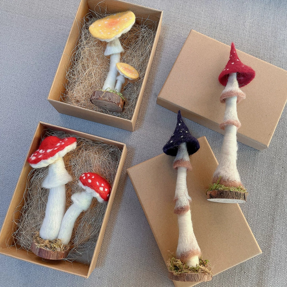 Woodland Mushroom Needle Felting Kit