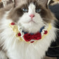 Pet collar knitting DIY crochet kit