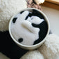 Cat in Flower Pot Needle Felting Kit