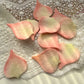 Colorful Hand-Cut Calla Lily Felt Pieces for DIY Brooches