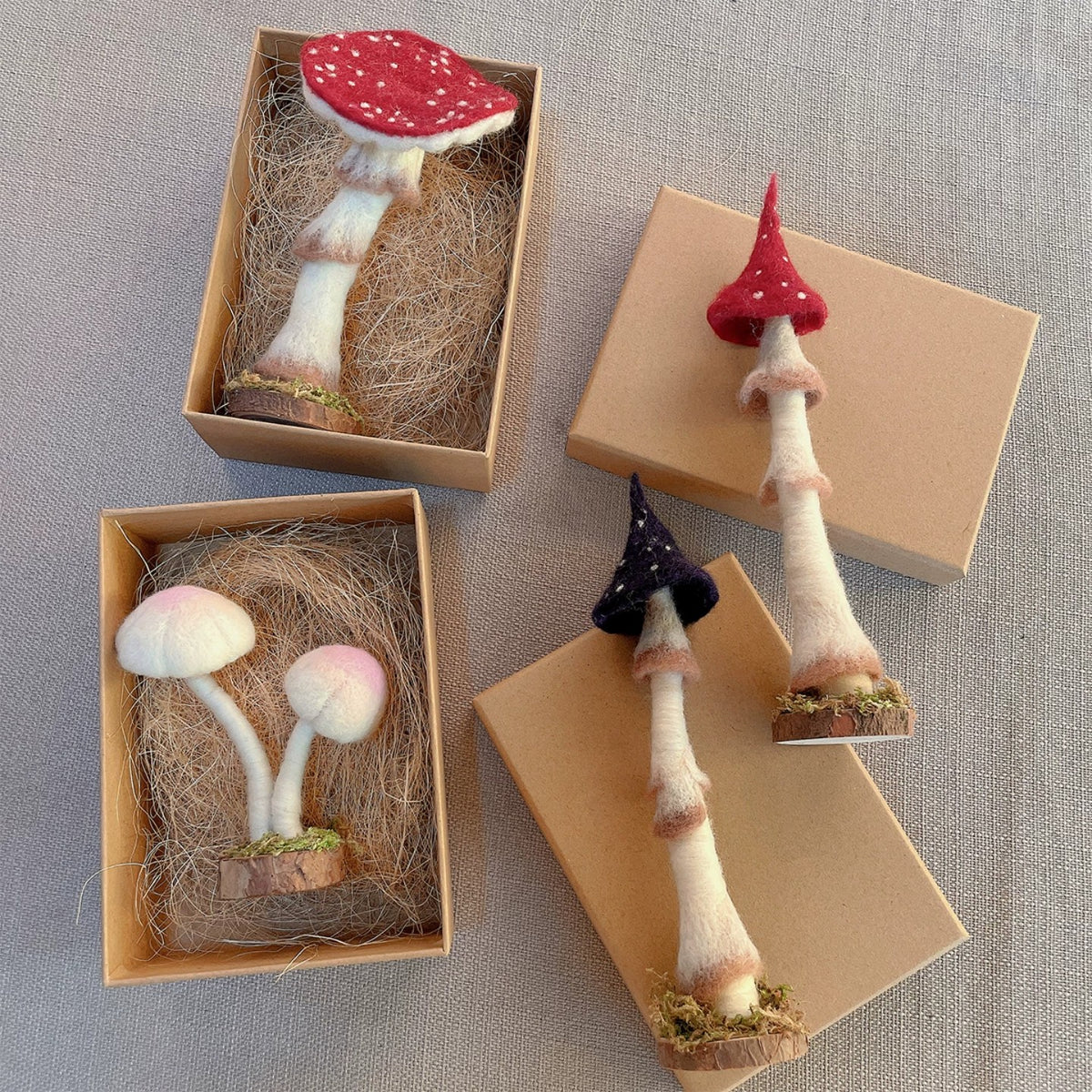 Woodland Mushroom Needle Felting Kit