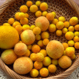 Yellow Berry Gradient-Dyed Solid Wool Felt Balls in Multiple Sizes