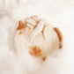 Sleeping Cat DIY Felt Coaster Kit