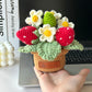 DIY Strawberry Potted Plant and Sunflower Flower Material Kit (Crochet Yarn Ornament)