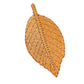 Fresh and Delicate Leaf Embroidery