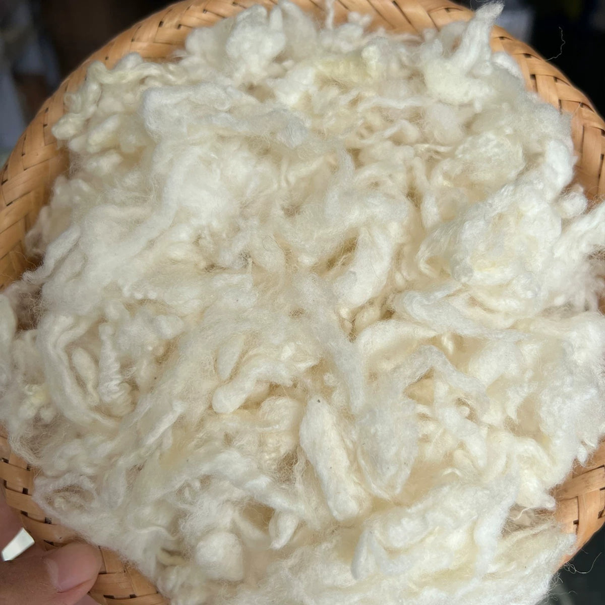 Textured Curly Wool Fiber for Needle & Wet Felting
