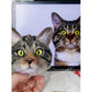 Custom Needle Felt Pet Frame
