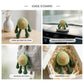 Funny Crochet Avocado Plush Toy - Quirky Amigurumi Fruit Desk Decor