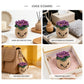 Handmade Crochet African Violet Plant - Kawaii Amigurumi Potted Flower