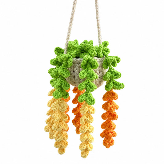Handmade Crochet Hanging Plant Basket