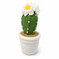 Handmade Crochet Flowering Cactus Potted Plant