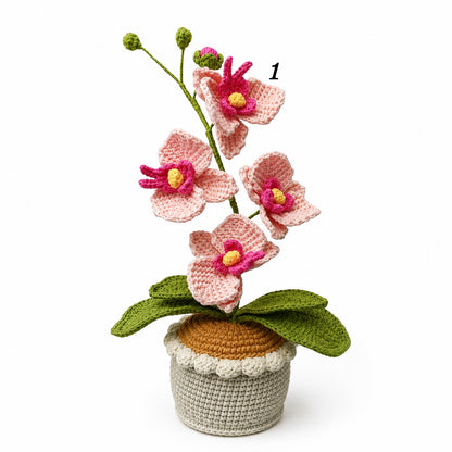Handmade Crochet Phalaenopsis Orchid Potted Plant