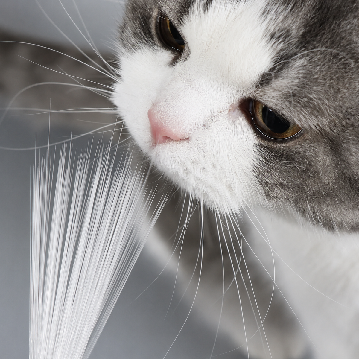 Realistic Cat Whiskers for Needle Felting