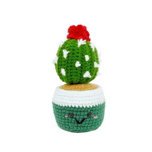 Crochet Cactus Plush, Handmade Amigurumi Potted Plant Decor Gift