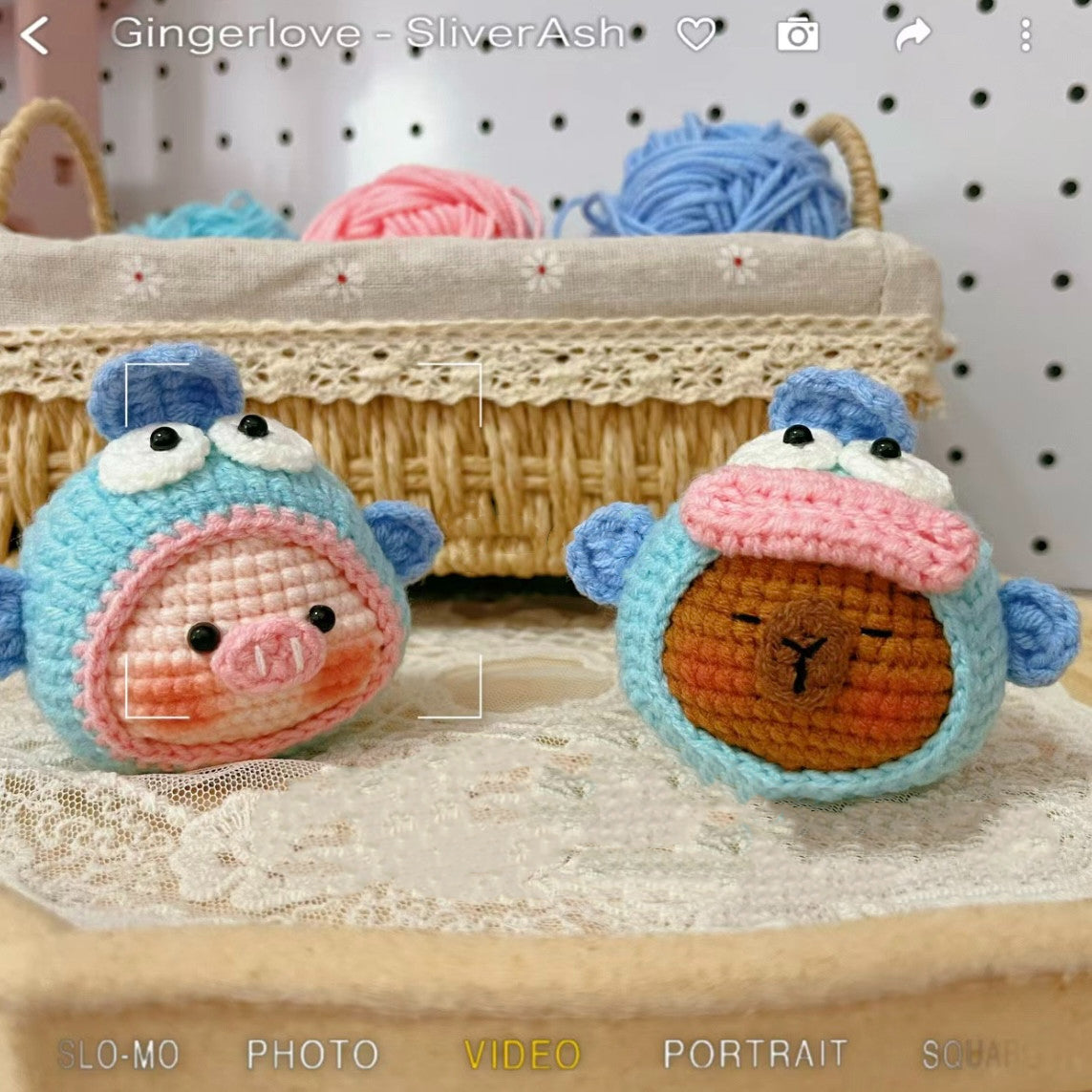 DIY Crochet Kit for Ugly Fish Capibala Bag Keychains/Dolls/Gifts