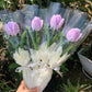 Tulip Bouquet DIY Material Kit - Handmade Woven Finished Product - Mother's Day/Valentine's Day Gift
