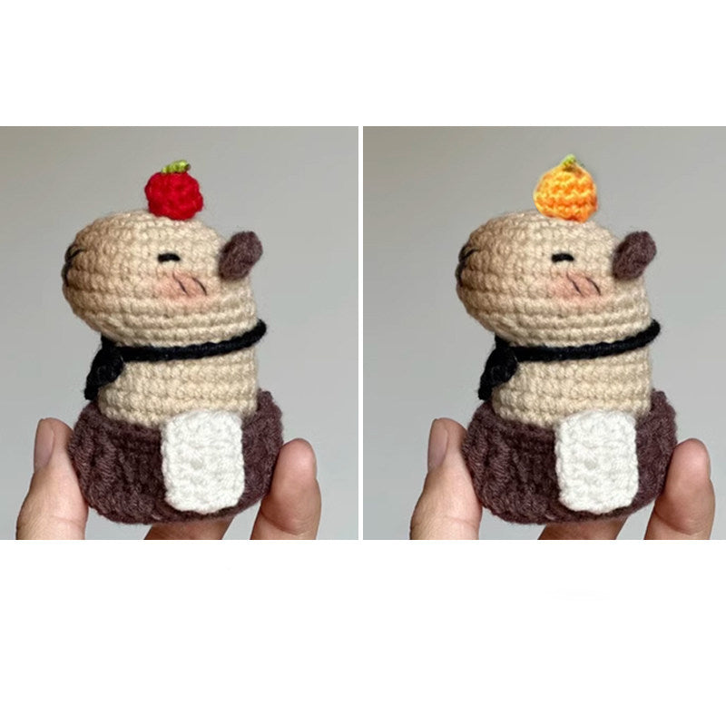 DIY Crochet Kit for Ugly Fish Capibala Bag Keychains/Dolls/Gifts