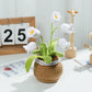 Hand-Woven Flower Bouquet DIY Kit — Featuring Miniature Potted Lotus, Sunflowers, and Handcrafted Crocheted Roses