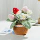 Hand-Woven Flower Bouquet DIY Kit — Featuring Miniature Potted Lotus, Sunflowers, and Handcrafted Crocheted Roses