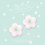 Fragrant Plum Blossom Embroidery Patch