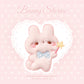Soft and Cute Rabbit Embroidery Patch