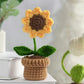 Crochet DIY kit Mini potted plant bouquet, handmade yarn flowers, homemade tulips, car ornaments