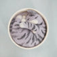Cat in Flower Pot Needle Felting Kit