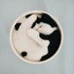 Cat in Flower Pot Needle Felting Kit