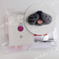Custom Cat Whisker Keepsake Kit