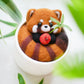 Cat in Flower Pot Needle Felting Kit
