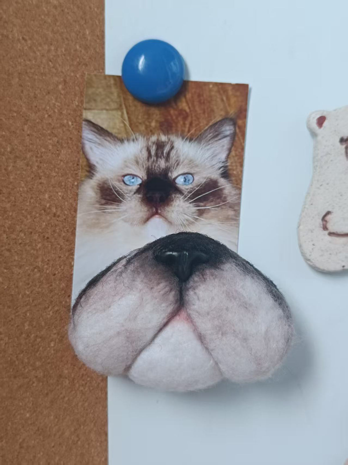 Custom Cat Whisker Keepsake Kit