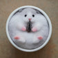 Cat in Flower Pot Needle Felting Kit