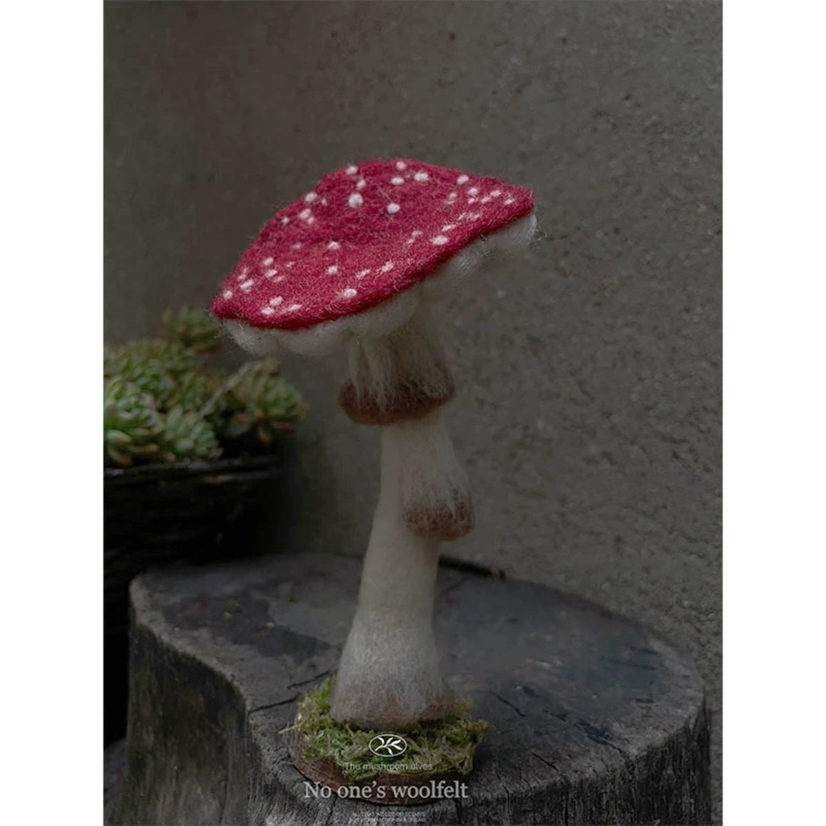Woodland Mushroom Needle Felting Kit