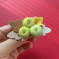 Chestnut Pinecone Berry DIY Craft Kit for Hair Clips, Brooches, Hats and Doll Decorations