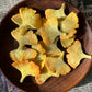 Colorful Hand-Cut Ginkgo Leaf Felt Pieces
