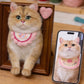Custom Needle Felted Pet Memorial Portrait Frame