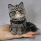 Handmade Personalized Cat & Dog Figurine Gift