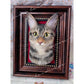 Custom Needle Felt Pet Frame