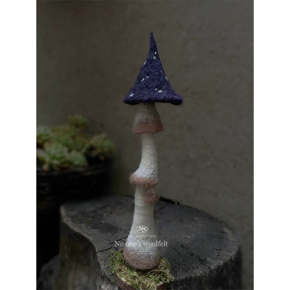 Woodland Mushroom Needle Felting Kit