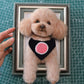 Custom Needle Felted Pet Memorial Portrait Frame